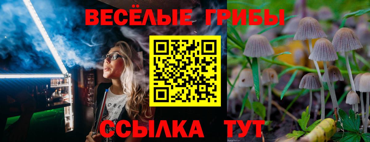Галлюциногенные грибы прущие грибы Знаменск